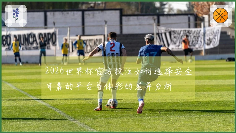 2026世界杯官方投注如何选择安全可靠的平台与体彩的差异分析