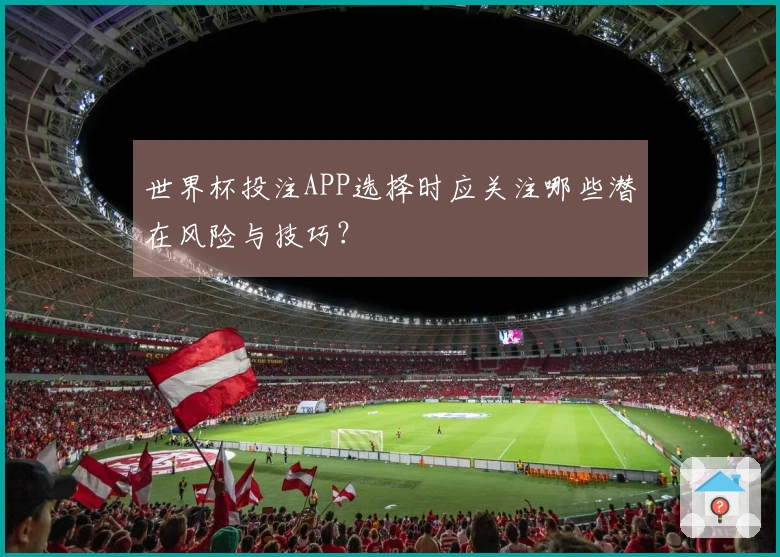 世界杯投注APP选择时应关注哪些潜在风险与技巧？