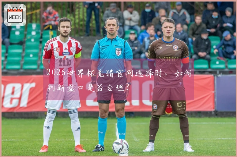 2026世界杯竞猜官网选择时，如何判断盘口是否合理？