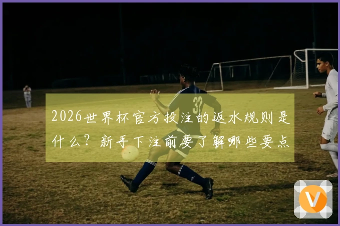2026世界杯官方投注的返水规则是什么？新手下注前要了解哪些要点？