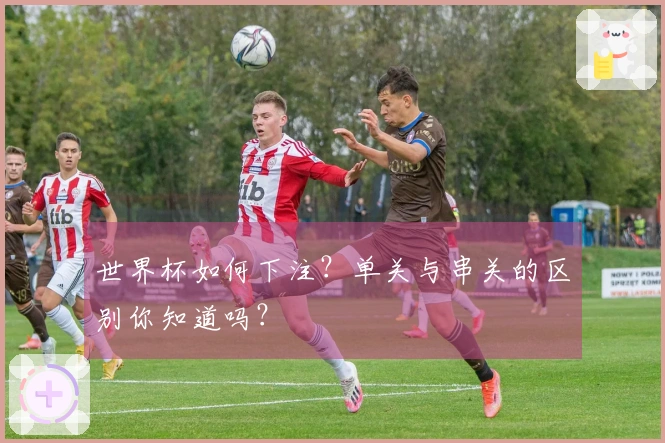世界杯如何下注？单关与串关的区别你知道吗？