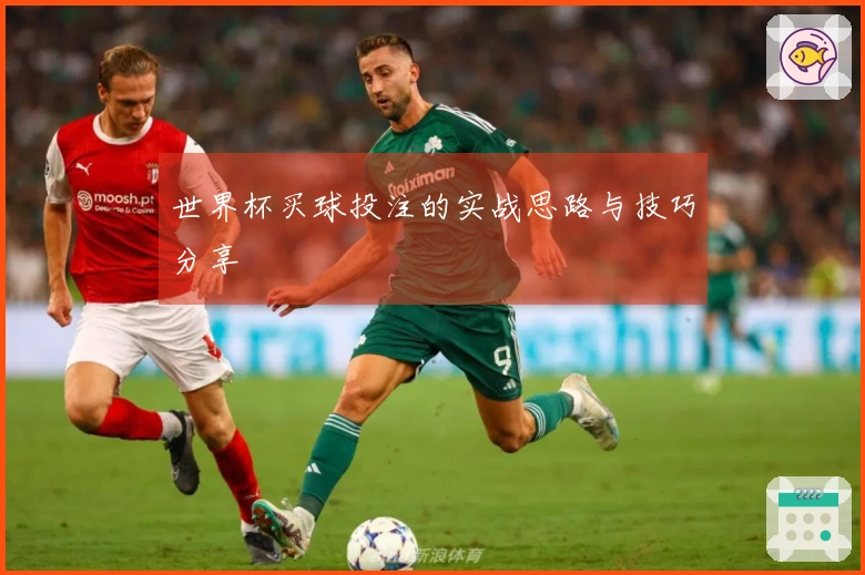 世界杯买球投注的实战思路与技巧分享