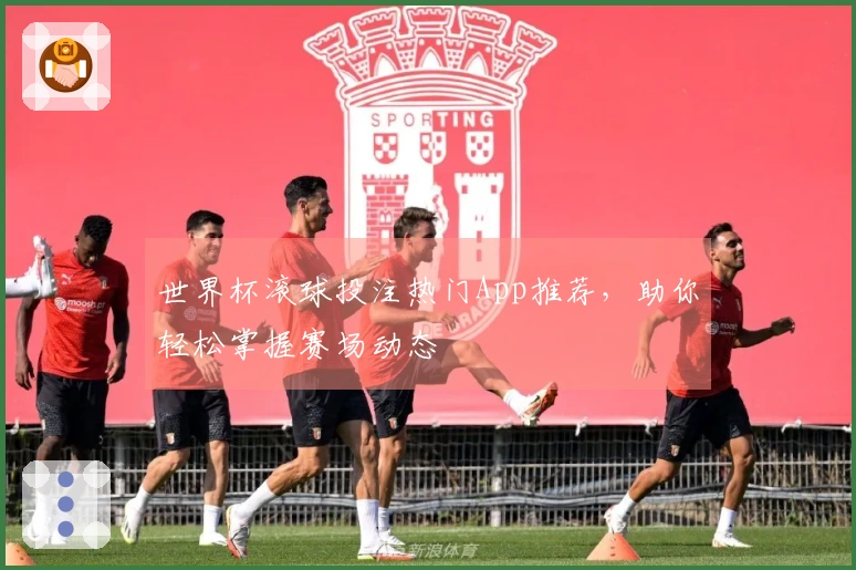 世界杯滚球投注热门App推荐，助你轻松掌握赛场动态