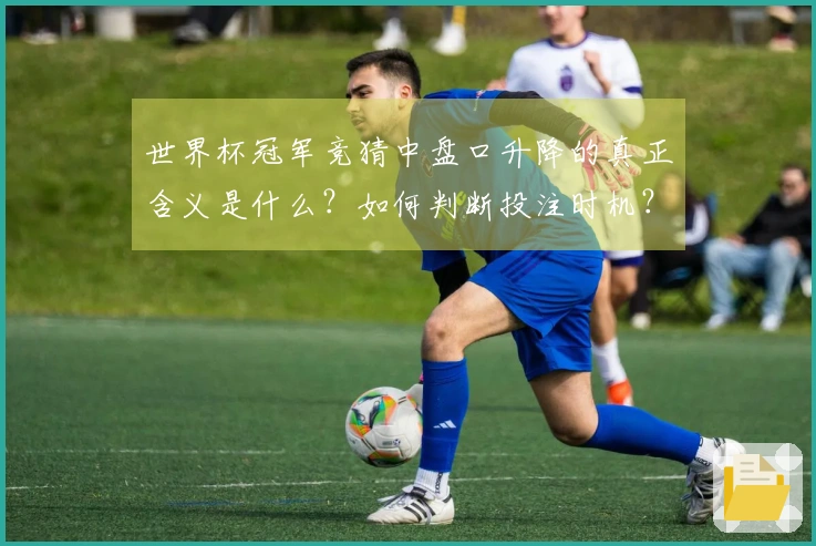 世界杯冠军竞猜中盘口升降的真正含义是什么？如何判断投注时机？