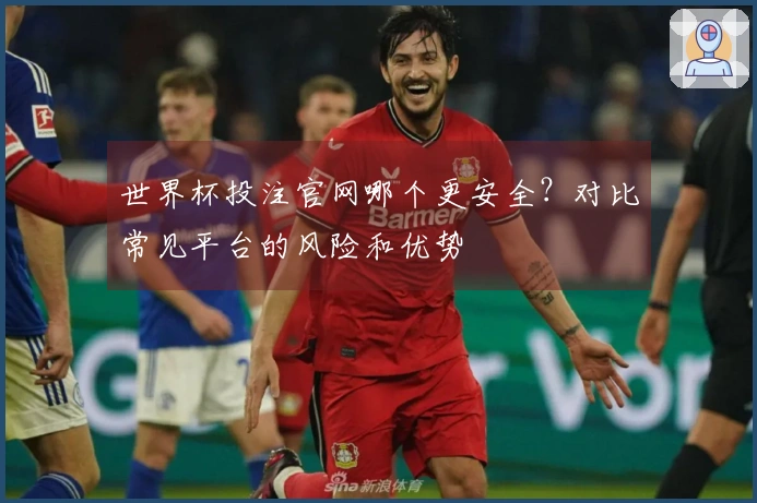 世界杯投注官网哪个更安全？对比常见平台的风险和优势