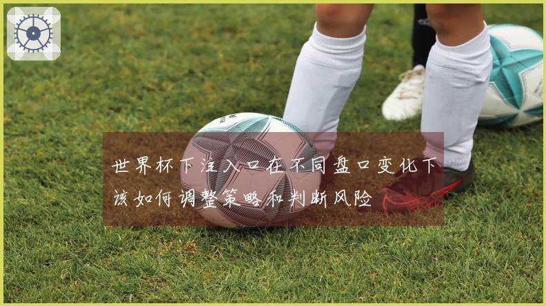 世界杯下注入口在不同盘口变化下该如何调整策略和判断风险