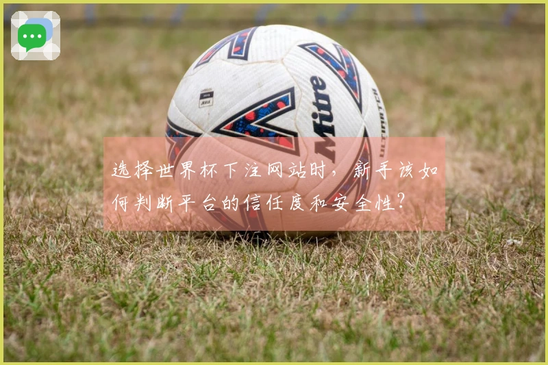 选择世界杯下注网站时，新手该如何判断平台的信任度和安全性？