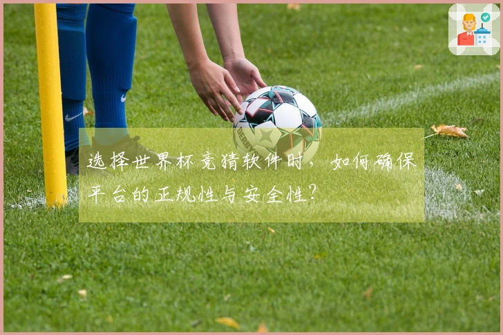 选择世界杯竞猜软件时，如何确保平台的正规性与安全性？