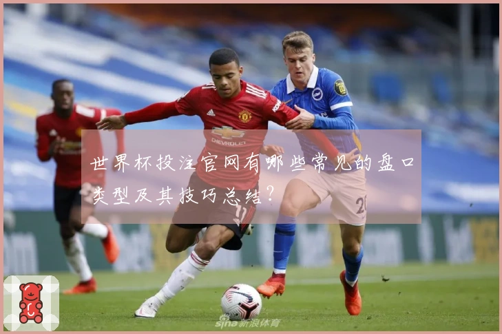 世界杯投注官网有哪些常见的盘口类型及其技巧总结？