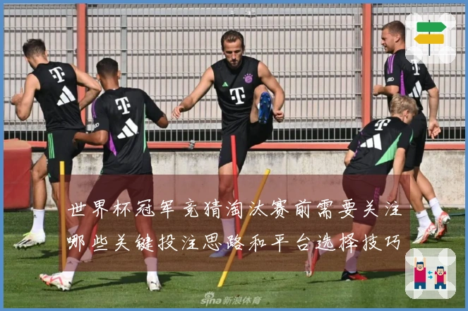 世界杯冠军竞猜淘汰赛前需要关注哪些关键投注思路和平台选择技巧