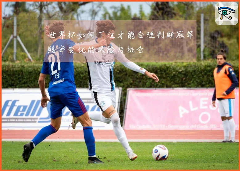 世界杯如何下注才能合理判断冠军赔率变化的风险与机会