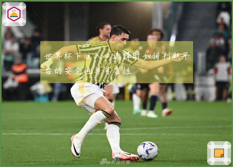世界杯下注入口选择时如何判断平台的安全性与可靠性