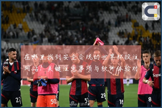 在哪里找到安全合规的世界杯投注网站？关键注意事项与软件体验对比解析