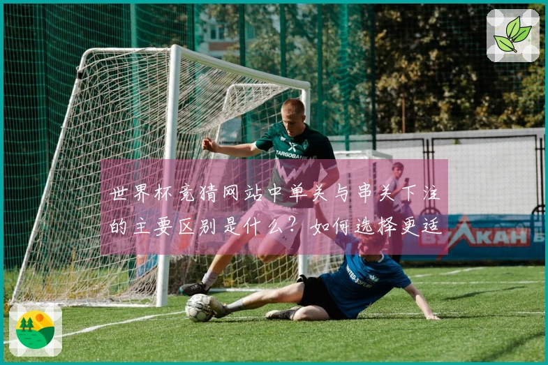 世界杯竞猜网站中单关与串关下注的主要区别是什么？如何选择更适合自己的投注方式？