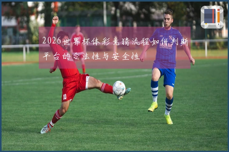 2026世界杯体彩竞猜流程如何判断平台的合法性与安全性