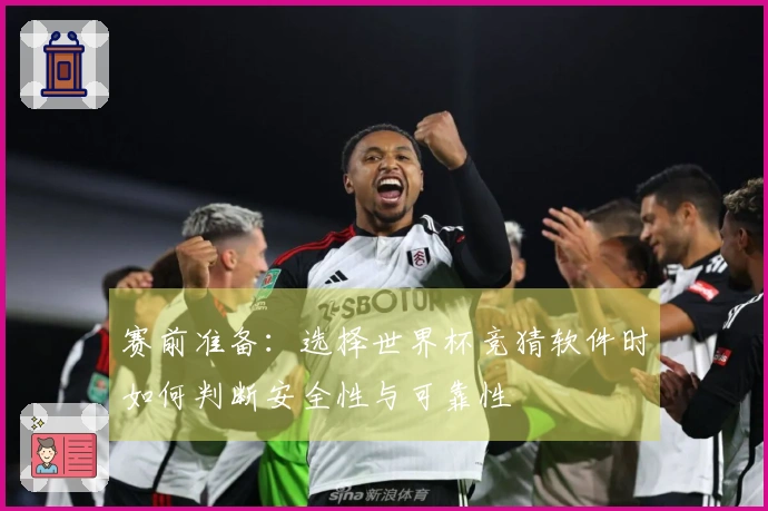 赛前准备：选择世界杯竞猜软件时如何判断安全性与可靠性