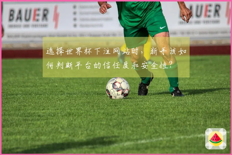 选择世界杯下注网站时，新手该如何判断平台的信任度和安全性？