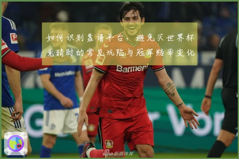 如何识别靠谱平台，避免买世界杯竞猜时的常见坑陷与冠军赔率变化的注意事项
