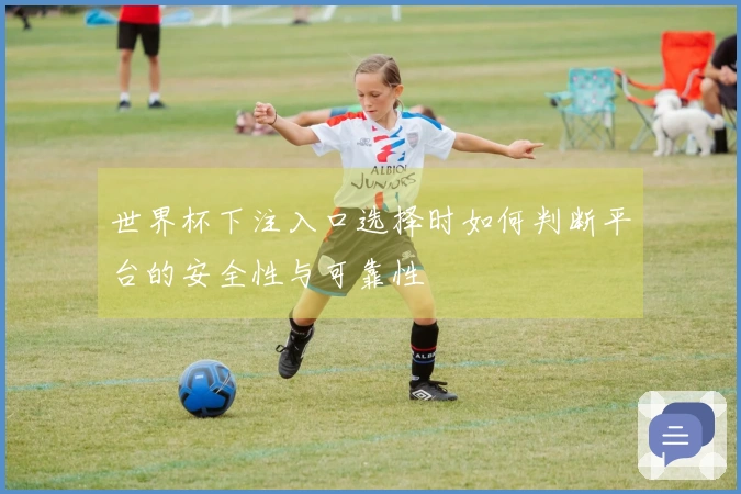 世界杯下注入口选择时如何判断平台的安全性与可靠性