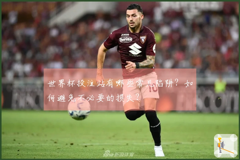 世界杯投注站有哪些常见陷阱？如何避免不必要的损失？