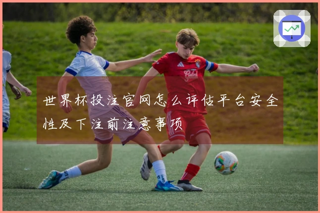 世界杯投注官网怎么评估平台安全性及下注前注意事项