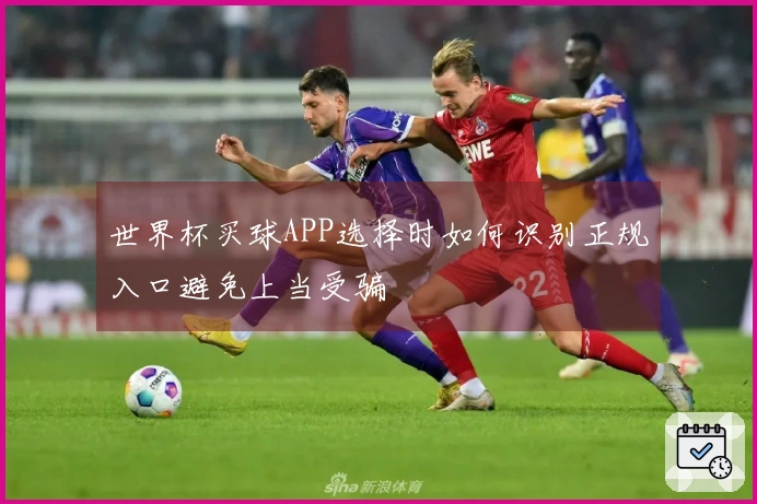 世界杯买球APP选择时如何识别正规入口避免上当受骗
