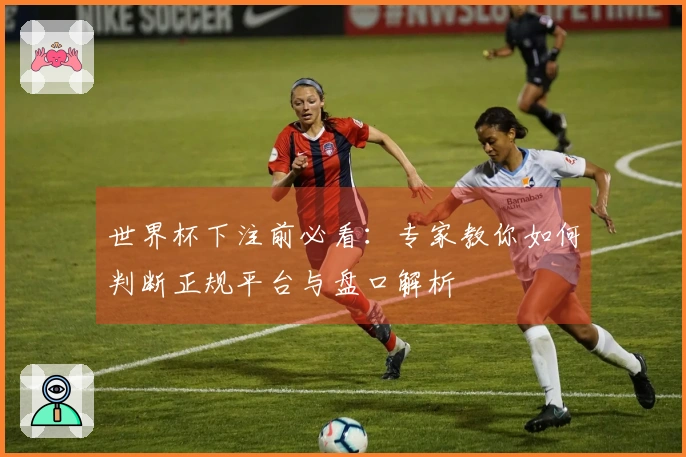 世界杯下注前必看：专家教你如何判断正规平台与盘口解析