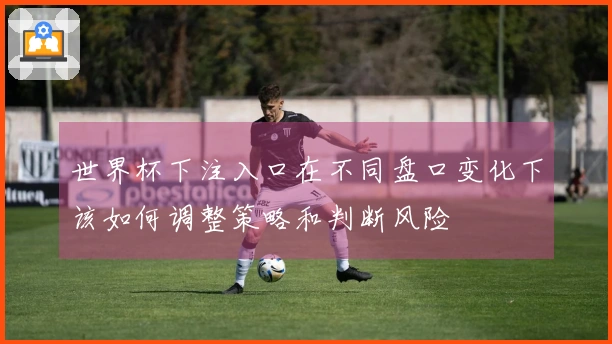 世界杯下注入口在不同盘口变化下该如何调整策略和判断风险