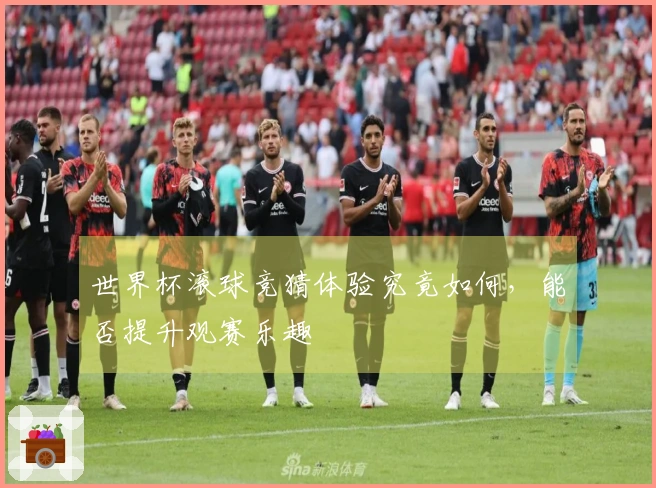世界杯滚球竞猜体验究竟如何，能否提升观赛乐趣