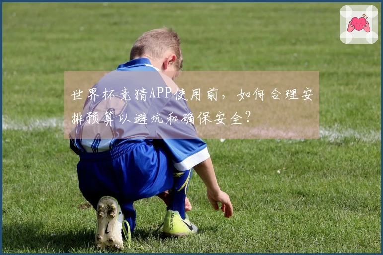 世界杯竞猜APP使用前，如何合理安排预算以避坑和确保安全？