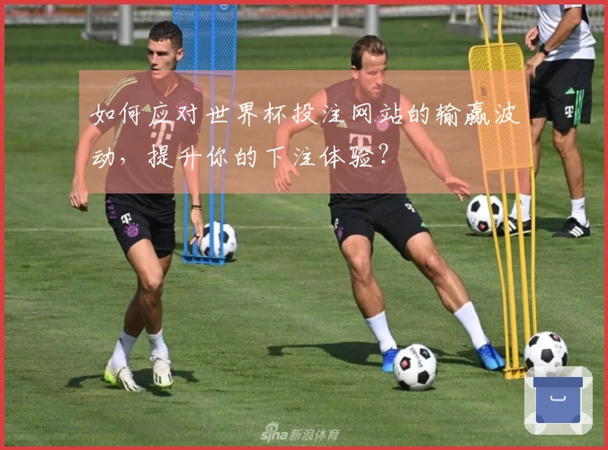如何应对世界杯投注网站的输赢波动，提升你的下注体验？