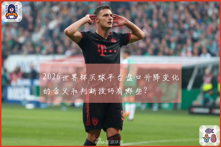 2026世界杯买球平台盘口升降变化的含义和判断技巧有哪些？