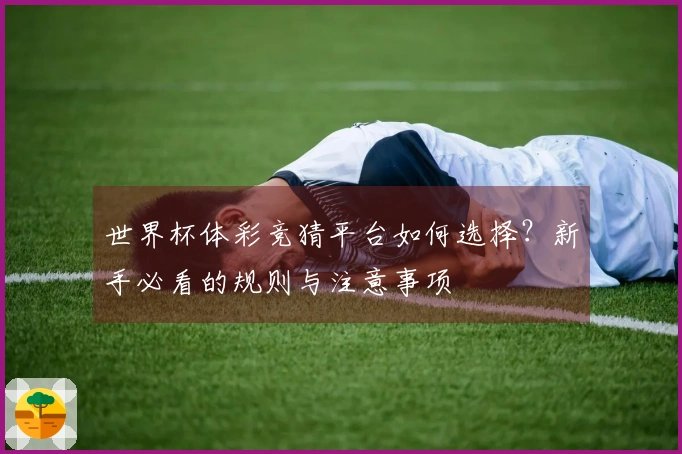 世界杯体彩竞猜平台如何选择？新手必看的规则与注意事项