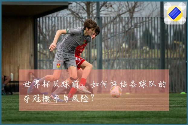 世界杯买球前，如何评估各球队的夺冠概率与风险？